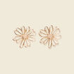 Boucles d'oreilles clous couleur or femme