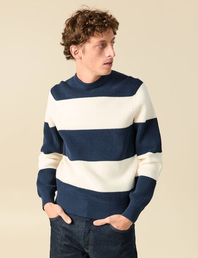 Pull fin ray&eacute; manches longues col rond bleu marine homme