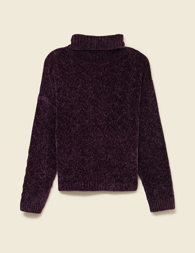 Pull col roul&eacute; manches longues prune femme