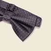 Noeud de papillon noir homme
