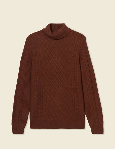 Pull manches longues marron cognac homme