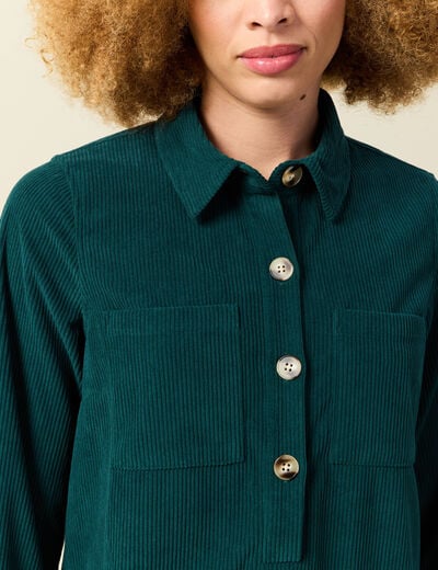 Robe droite velours col polo vert fonc&eacute; femme