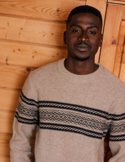 Pull manches longues beige homme