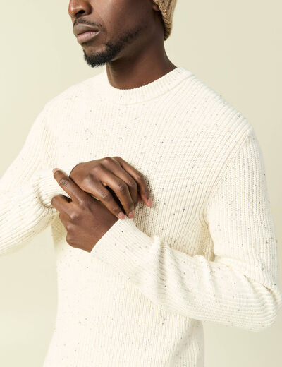 Pull col rond manches longues en coton ecru homme