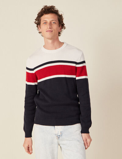 Pull manches longues bleu marine homme
