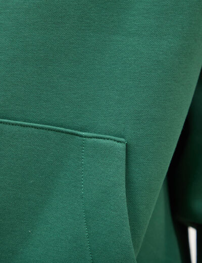 Sweat &agrave; capuche vert homme