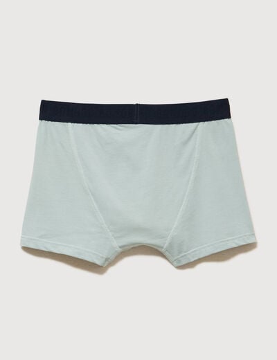 Lot de 3 boxers vert clair homme