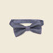Noeud de papillon bleu marine homme