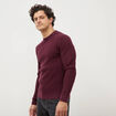 Pull droit manches longues prune homme