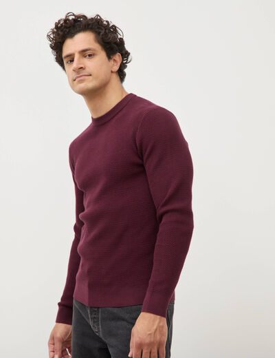 Pull droit manches longues prune homme