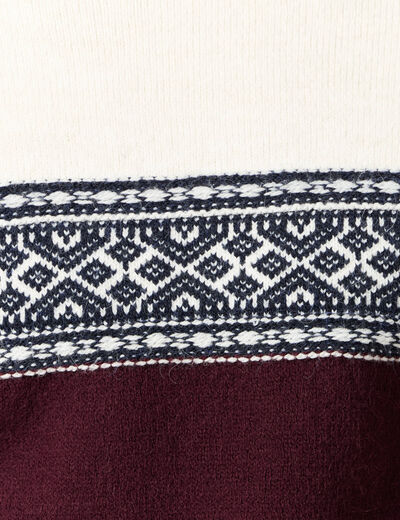 Pull manches longues prune homme