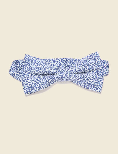 Noeud de papillon multicolore homme