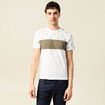 T-shirt manches courtes vert kaki homme