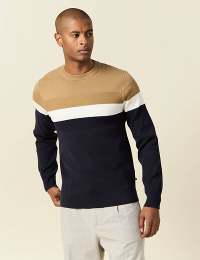 Pull manches longues bleu marine homme