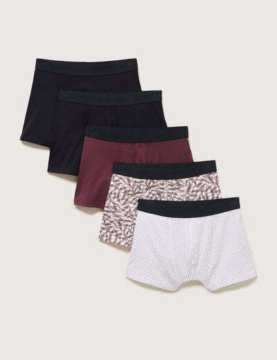 Lot de 5 boxers prune homme