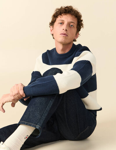 Pull fin ray&eacute; manches longues col rond bleu marine homme