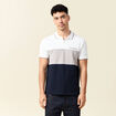 Polo manches courtes taupe homme