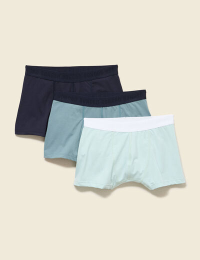 Lot de 3 boxers bleu gris homme