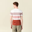 T-shirt manches courtes marron cognac homme