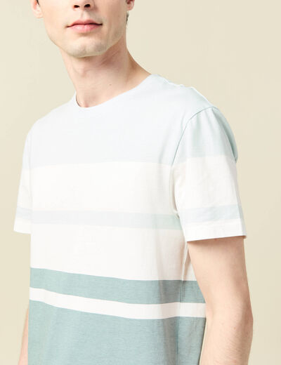 T-shirt manches courtes bleu gris homme