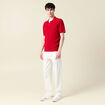 Polo cintré manches courtes rouge foncé homme