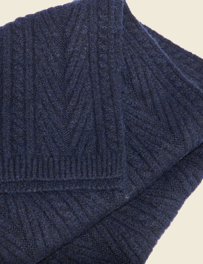 &Eacute;charpe bleu marine homme
