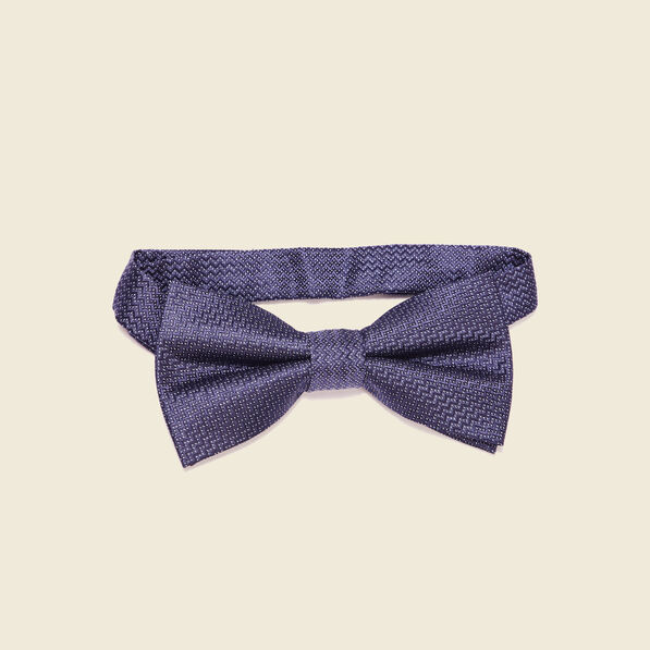 Noeud de papillon bleu marine homme