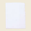 Foulard broderie anglaise ecru femme