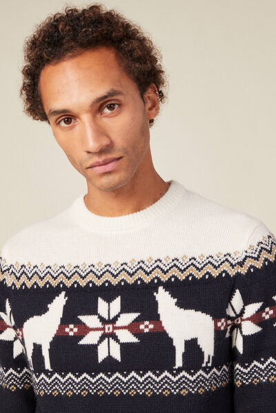 Pull manches longues bleu marine homme