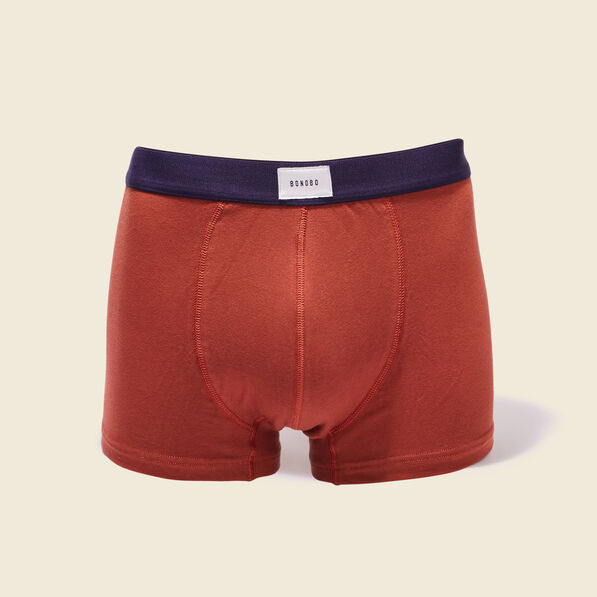 Lot 2 boxers marron cognac homme