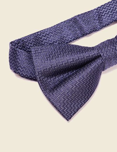 Noeud de papillon bleu marine homme