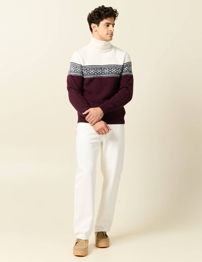 Pull manches longues prune homme