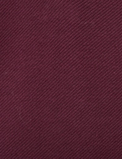 Polo droit manches longues prune homme