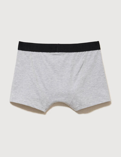 Lot de 3 boxers gris clair homme