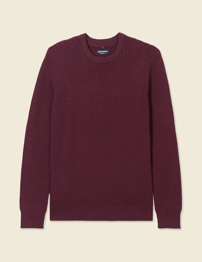 Pull éco-responsable prune homme