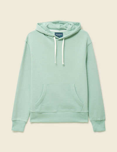 Sweat &agrave; capuche vert pastel homme