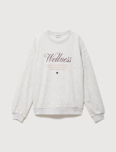 Sweat droit manches longues gris clair femme