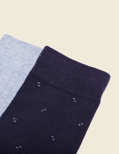 Lot 2 paires chaussettes bleu gris homme