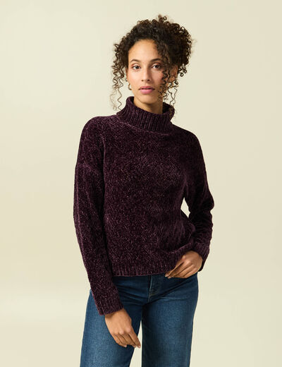 Pull col roul&eacute; manches longues prune femme