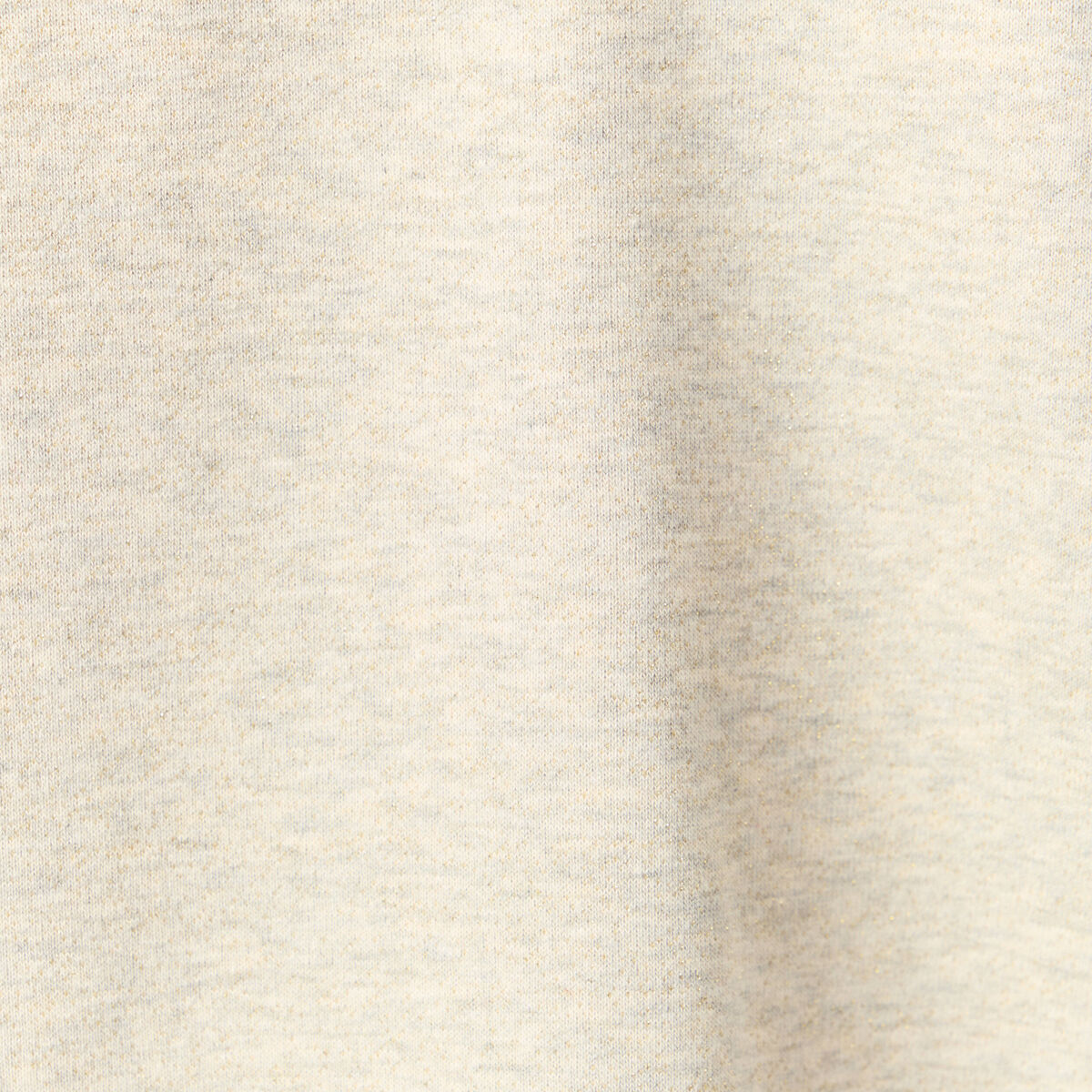 Sweat &agrave; capuche manches longues brillant gris femme