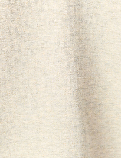 Sweat &agrave; capuche manches longues brillant gris femme