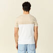 T-shirt manches courtes camel homme