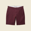 Bermuda prune homme