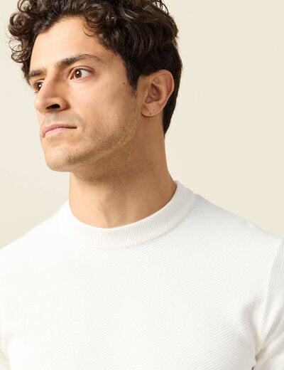 Pull col rond manches longues ecru homme