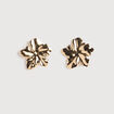 Boucles d'oreilles couleur or femme