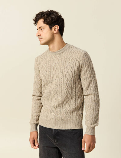Pull col rond beige homme