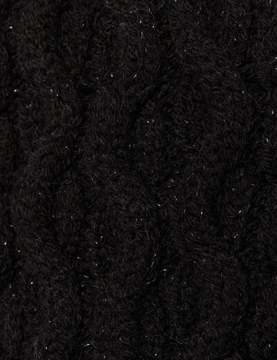 Pull manches longues col roul&eacute; brillant noir femme