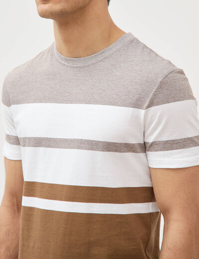 T-shirt manches courtes taupe homme