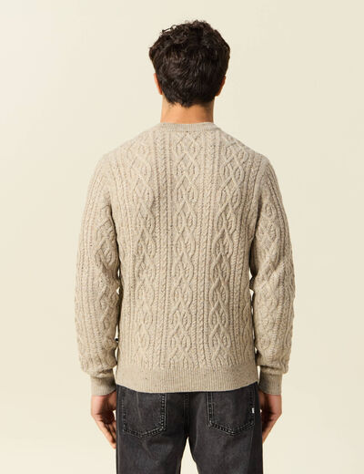 Pull col rond beige homme
