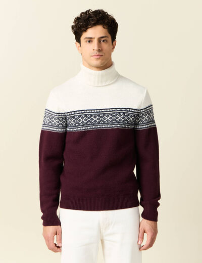 Pull manches longues prune homme